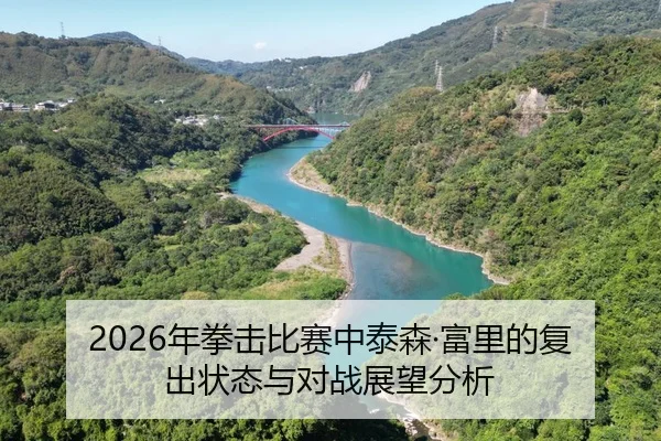 2026年拳击比赛中泰森·富里的复出状态与对战展望分析