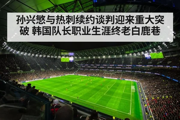 Tottenham Hotspur stadium